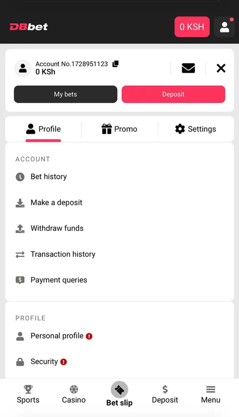 Open your DBBet personal profile